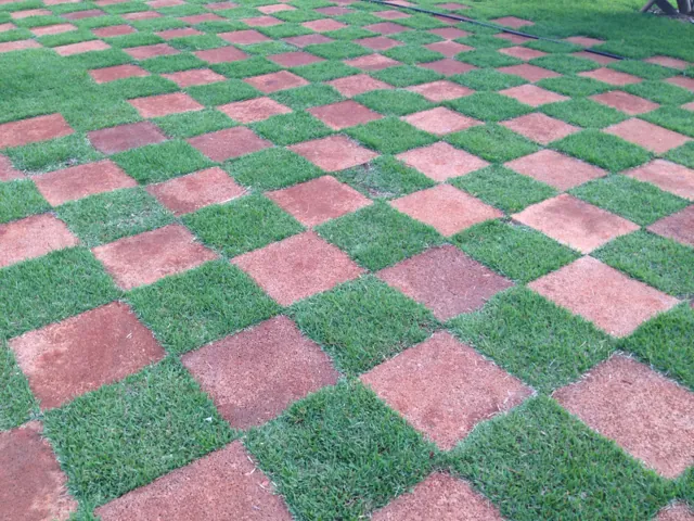 Detalhe do xadrez de Drenatu e grama