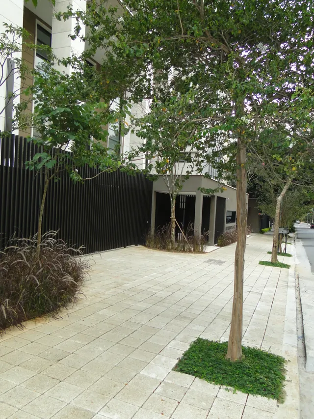 Passeio em Drenatu claro com árvores e canteiros