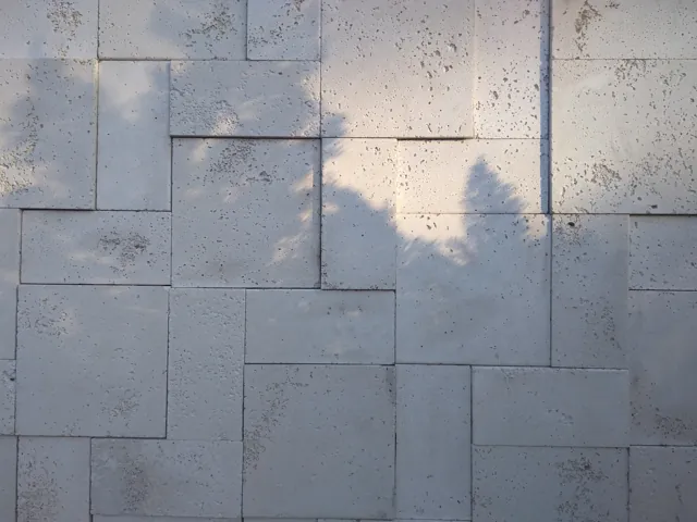 Mozaico claro com sombra de árvore