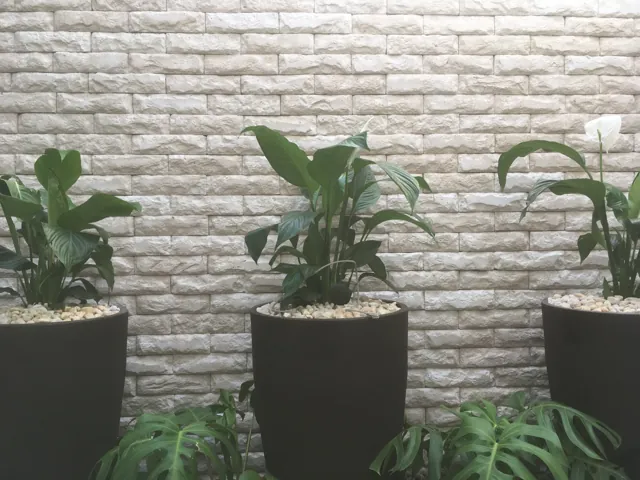 Jardim interno com parede em Stone branco
